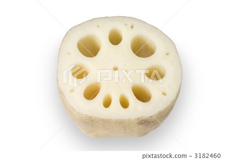 蓮藕 蓮藕 3182460