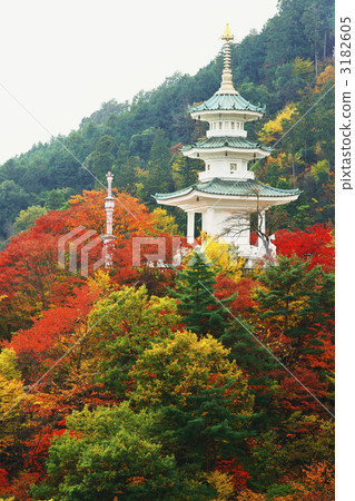 maple, yellow leafe, ìîñò 3182605