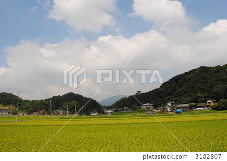 Country landscape Country landscape 3182807