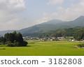 Country landscape 3182808