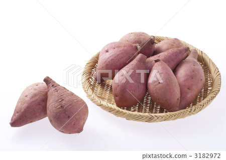 安諾土豆 3182972