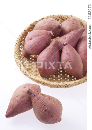 安諾土豆 3182973