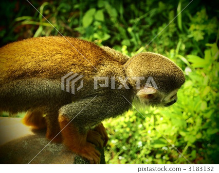 Even now ... 3183132