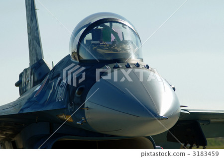 F-2A of 50th anniversary paint 3183459