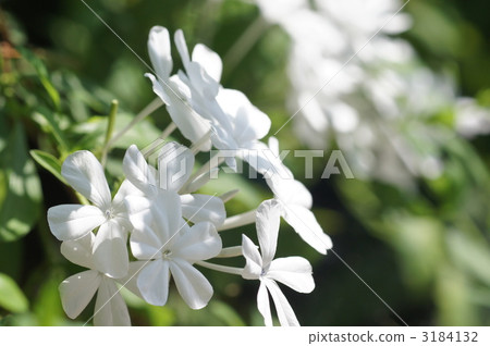 outdoor, outside, daytime 3184132