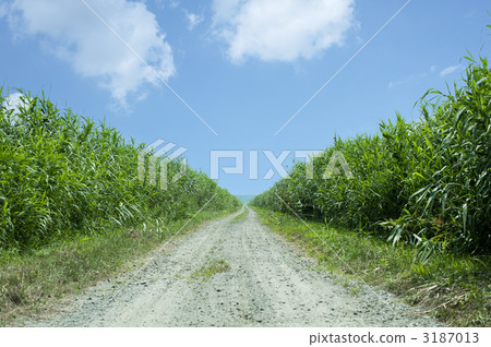 1 main road 1 main road 3187013