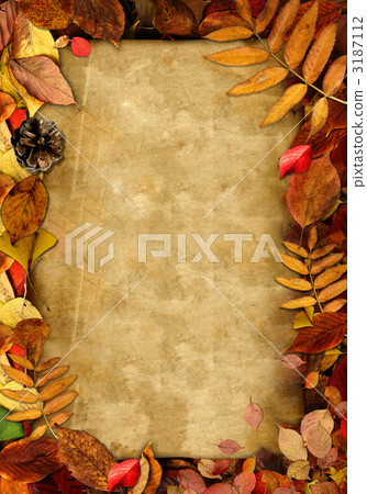 葉 樹葉 葉子 3187112