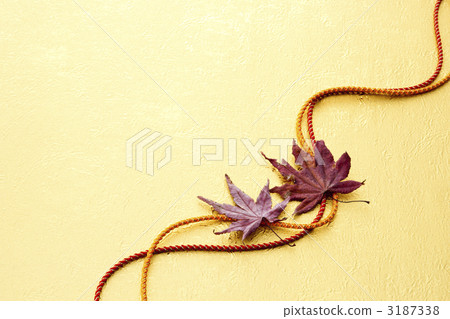 autumn autumn 3187338