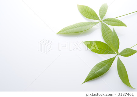 南方國家形象 3187461