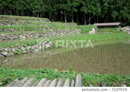 四谷千紙 3187678