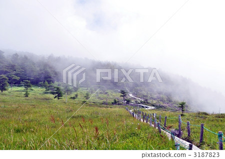 草地 草原 牧場 3187823