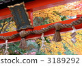 Torii and autumn leaves of Kyoto · Ohara-shrine 3189292