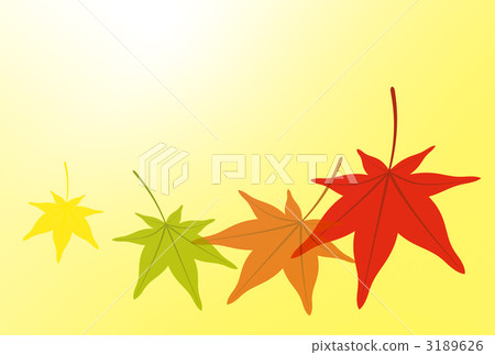 Colorful Momiji 3189626