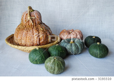 在遊行的南瓜 在遊行的南瓜 3193310