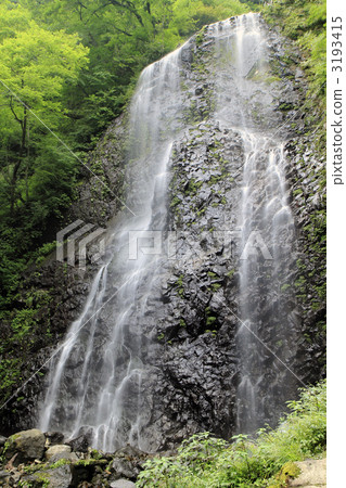 White boar waterfall 3193415