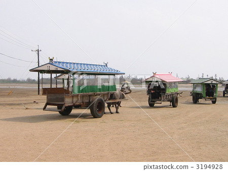 Water buffalo car of Okinawa Water buffalo car of Okinawa 3194928