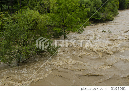 typhoon typhoon 3195061