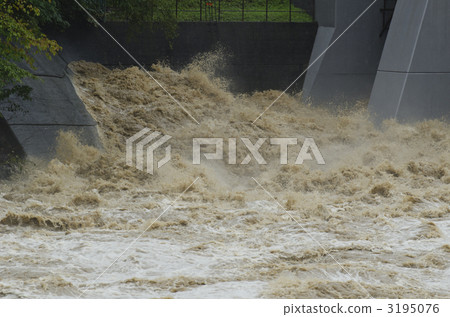 typhoon typhoon 3195076