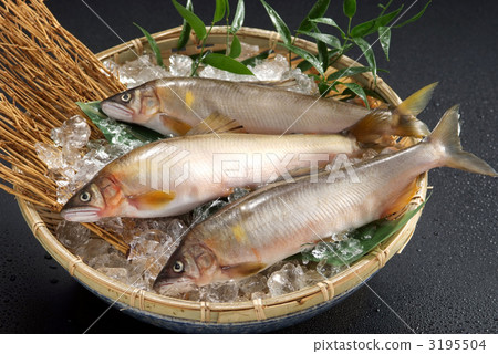 香魚 淡水魚 海鮮 3195504