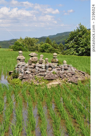 Masonry of paddy fields 3196024