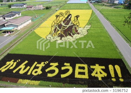 rice paddy art, inaka-kan village, 2011 3196752
