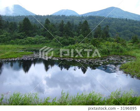 Summer Hakkoda · Water Lily Bottle 3196895