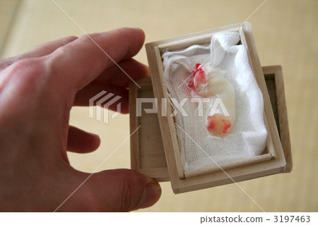 拿著一個帶有臍帶的泡桐盒 3197463