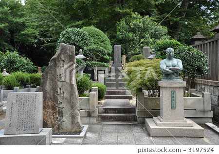 池上Honmonji Kaidoyama墓 3197524