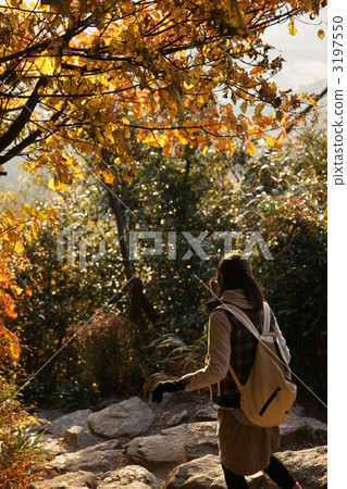 野餐 休閒活動 興趣 3197550