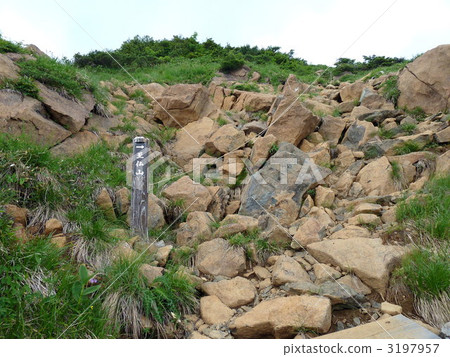 Oze國家公園佛山 3197957