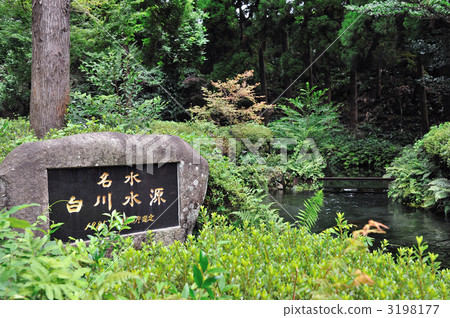 Shirakawa Water Source @ Aso Shirakawa Water Source @ Aso 3198177