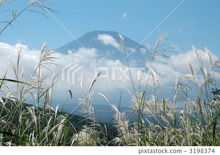Susuki,富士山和藍天 Susuki,富士山和藍天 3198374