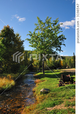 Chena hot spring · Forest landscape Chena hot spring · Forest landscape 3198547