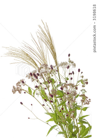 Rustic bouquet of autumn 3198618