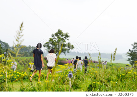 Higotai Park 3200375