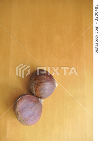 Chestnut  3200485