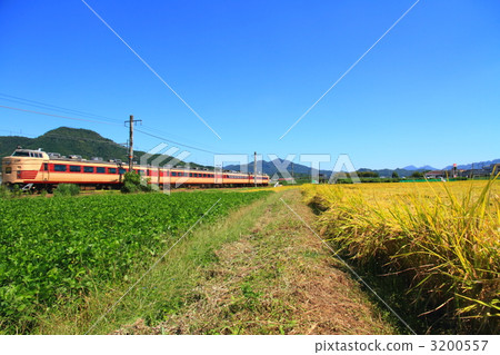 特快 限制座席和停車站的特別快車 丹波市 3200557