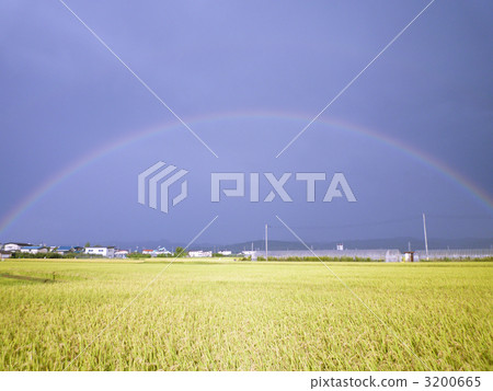 The sky after the rain 3200665