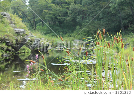nagatoro, chichibu, forty hachinuma 3201223