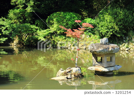 turtle, pond, lagoon 3201254
