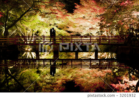 秋葉日期 3201932