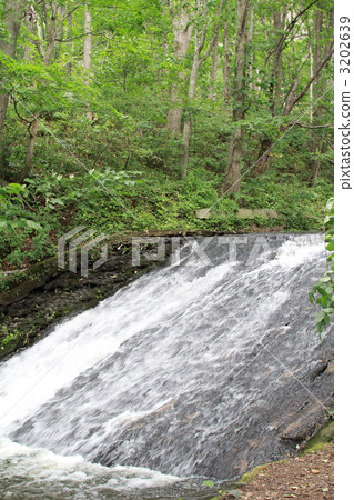 The upper reaches of the Tsukisamu River flowing through Nishioka Park in Hokkaido 3202639