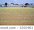 welsh onion, seeding, tractor 3202961