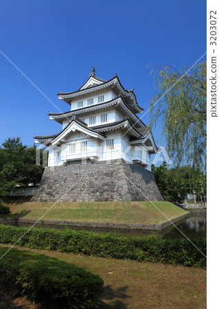 Impregnable castle 3203072
