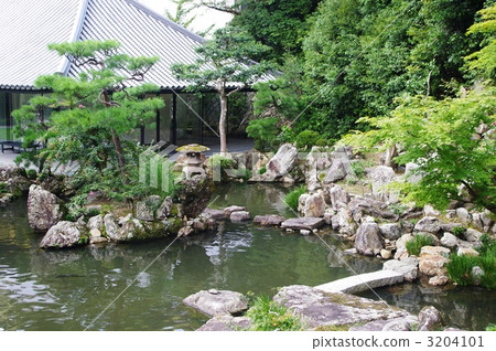 Kiyoshin銀杏 3204101