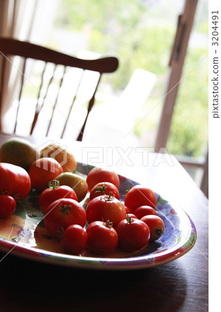 Fresh tomatoes on the table 3204491