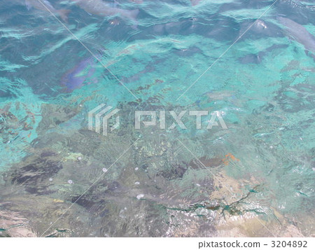 Transparent sea Transparent sea 3204892