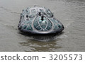 himiko, passenger boat, sumida river 3205573