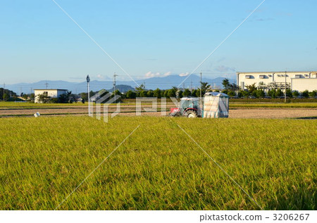 拖拉機和水稻種植 拖拉機和水稻種植 3206267