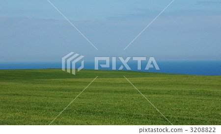 Grass, sea and sky Grass, sea and sky 3208822